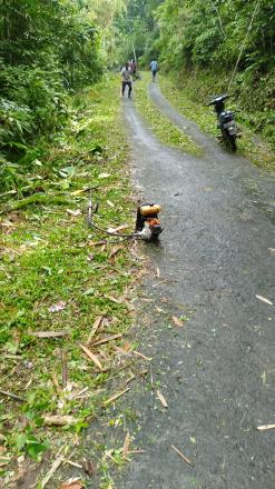 Pembersihan dan pemotonga rumput ruas  Jalan 